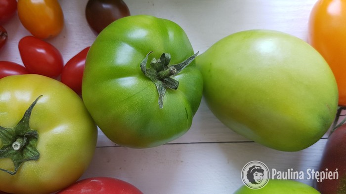 Pomidory zielone