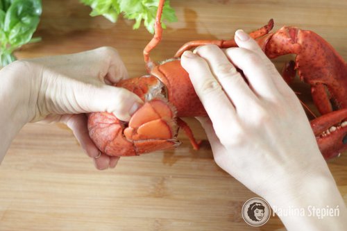 Jak jeść homara
