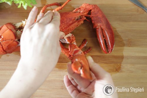 Jak jeść homara